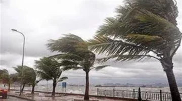 الأرصاد تحذر من تقلبات جوية وأمطار ورياح نشطة في القاهرة والمحافظات